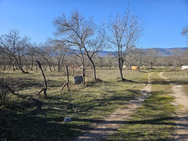 Terreno en M-623 s/n photo 2