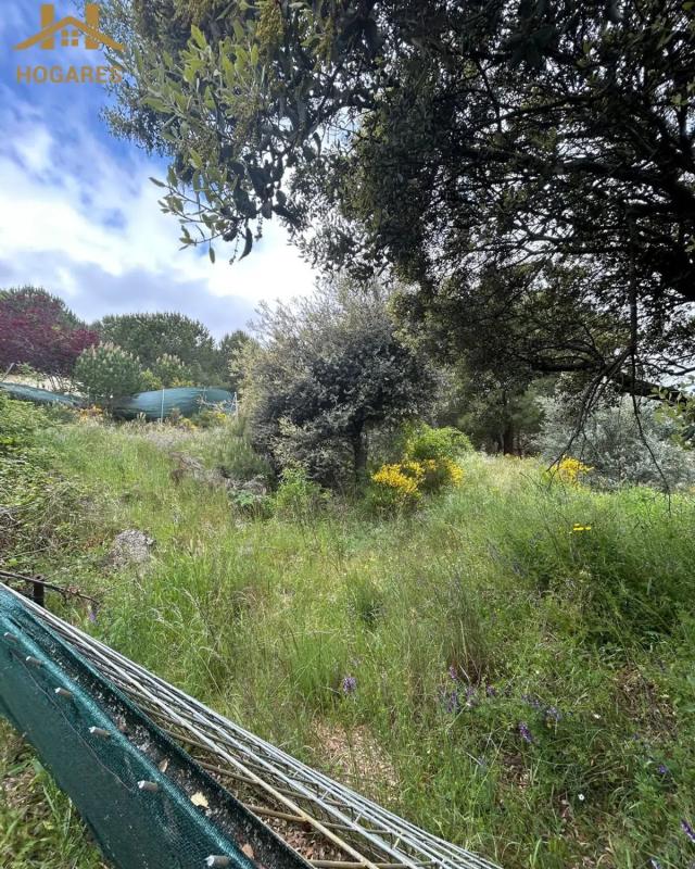 Land for sale in Guadarrama, Madrid photo 4