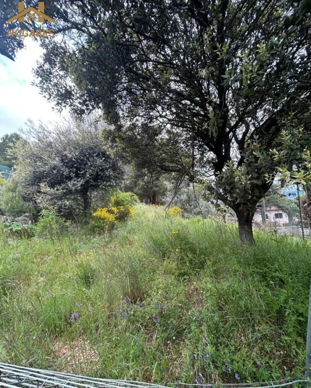 Land for sale in Guadarrama, Madrid photo 5