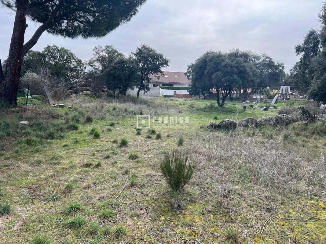 Terreno en venta en Guadarrama, Madrid photo 5