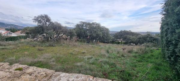 Terreno en calle Leo, 4 photo 1