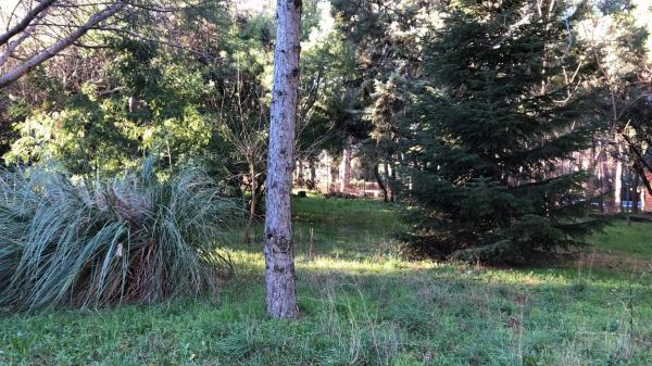 Terreno en calle Azaleas, 3 photo 2