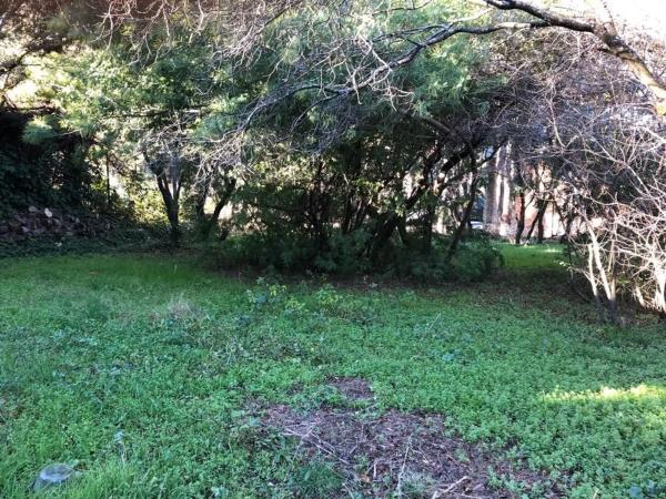 Terreno en calle Azaleas, 3 photo 3