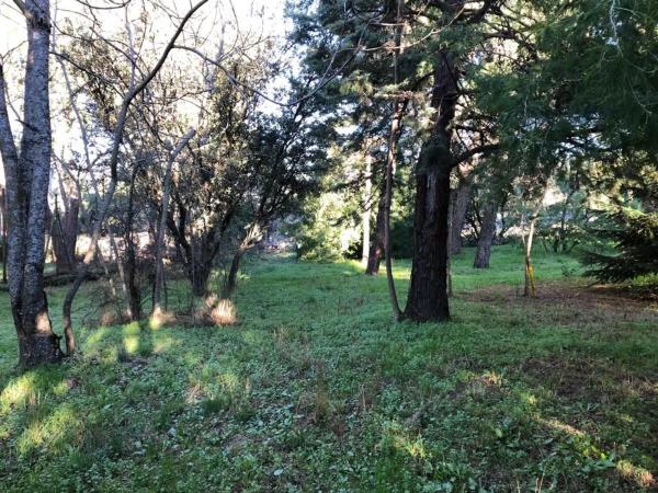 Terreno en calle Azaleas, 3 photo 4