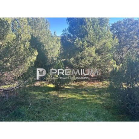 Terreno en Guadarrama photo 2