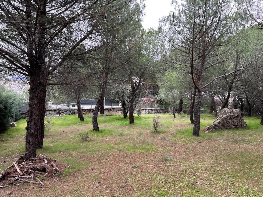 Land for sale in Guadarrama, Madrid photo 2