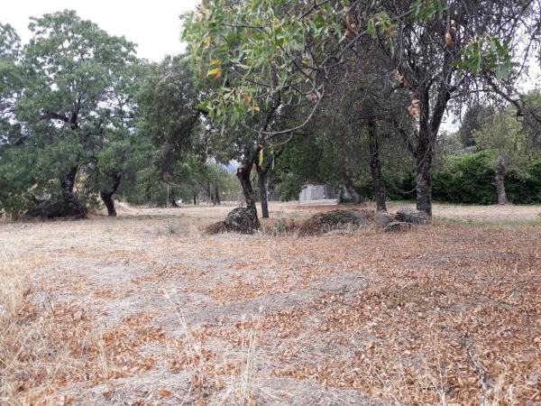 Terreno en calle Dos Hermanas, 19 photo 1