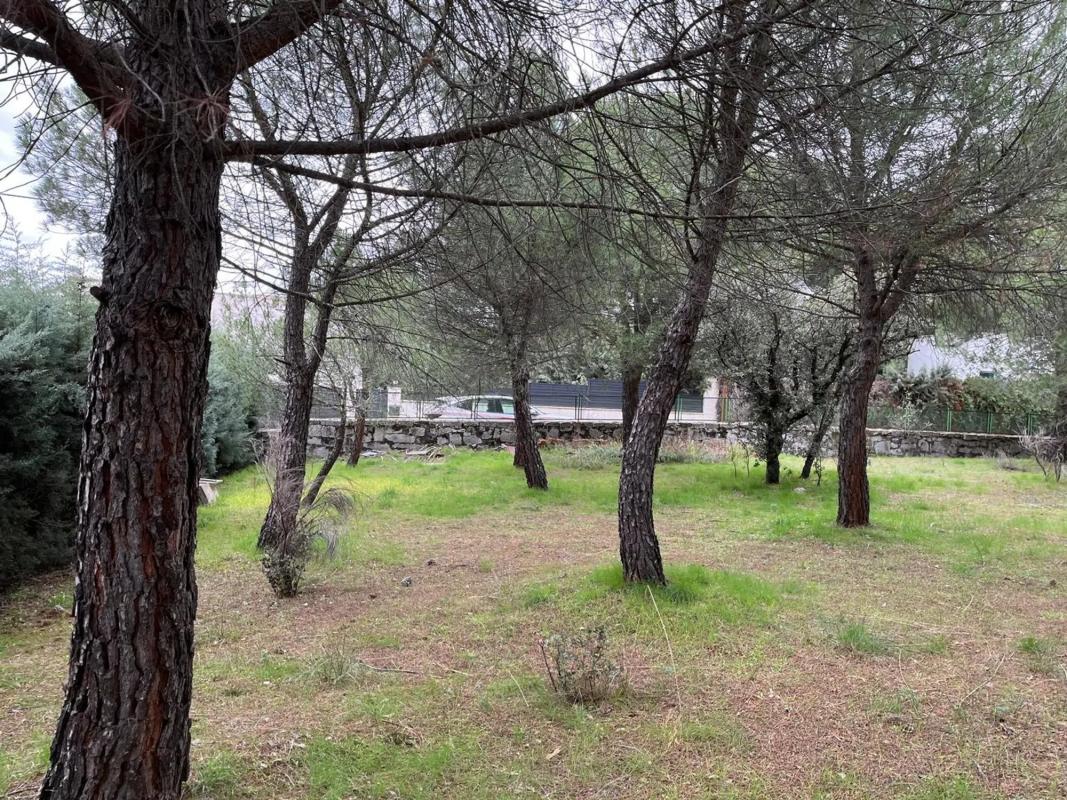 Land for sale in Guadarrama, Madrid photo 3