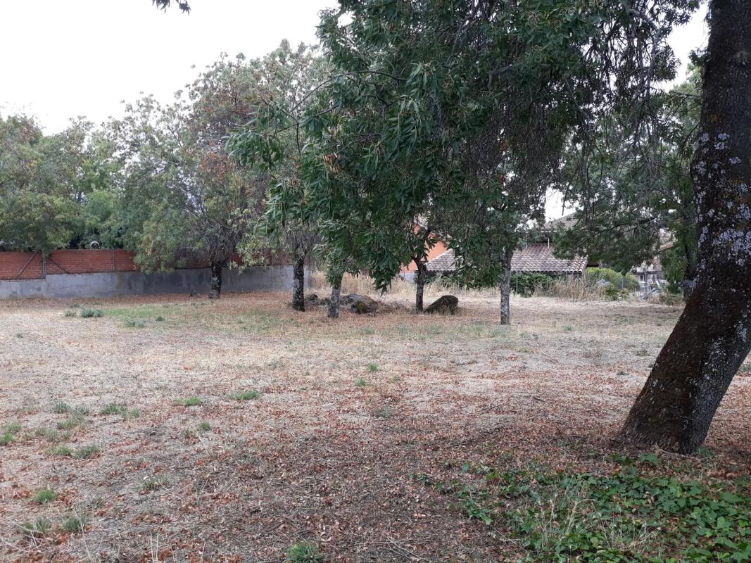 Land for sale in Guadarrama, Madrid photo 2