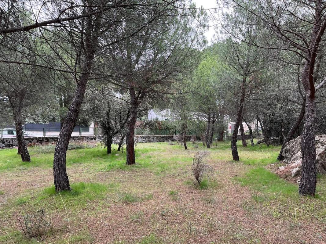 Land for sale in Guadarrama, Madrid photo 4