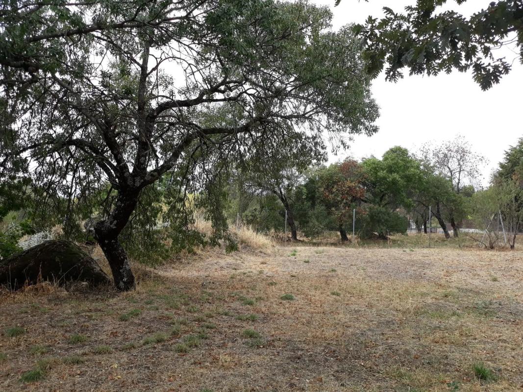 Land for sale in Guadarrama, Madrid photo 3