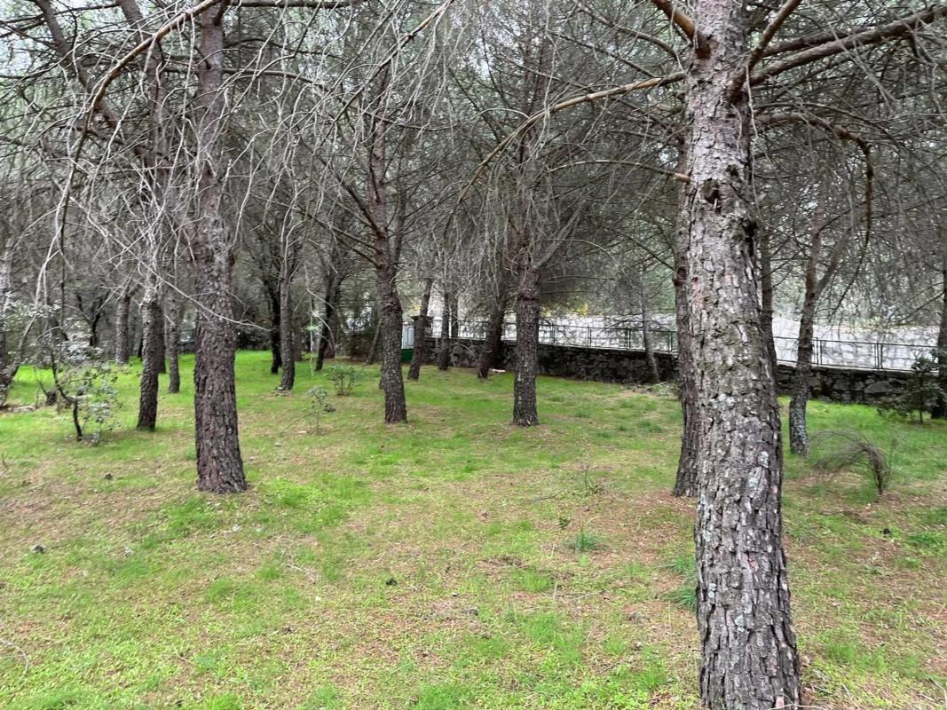 Land for sale in Guadarrama, Madrid photo 5