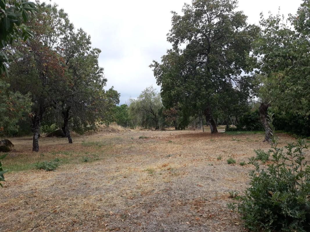 Land for sale in Guadarrama, Madrid photo 4