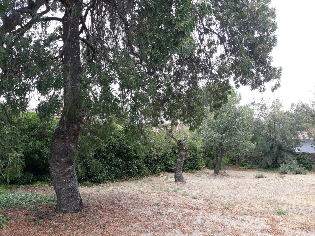 Land for sale in Guadarrama, Madrid photo 5