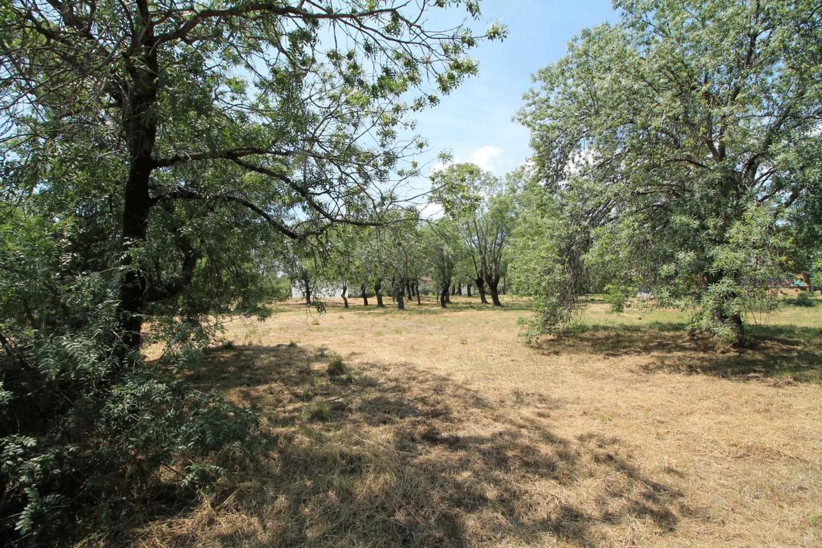 Terreno en venta en Guadarrama, Madrid photo 4