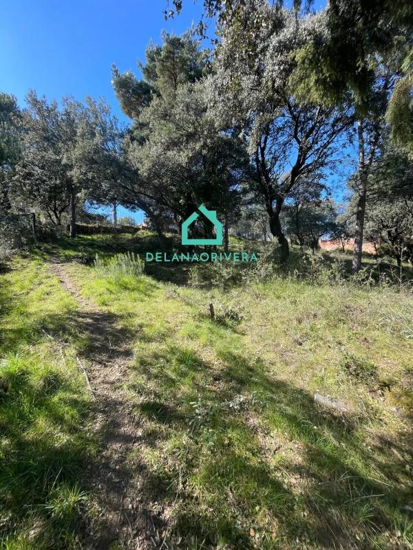 Terreno en venta en Guadarrama, Madrid photo 3