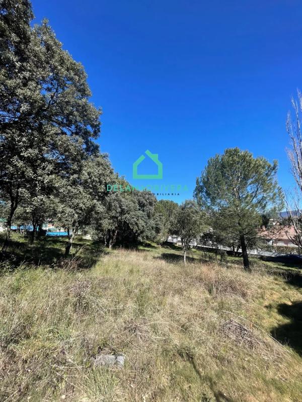 Terreno en venta en Guadarrama, Madrid photo 4