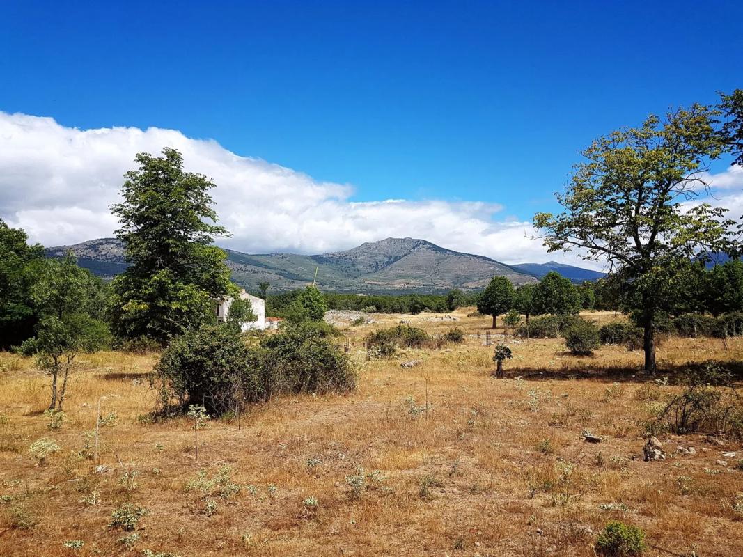 Land for sale in Guadarrama, Madrid photo 5