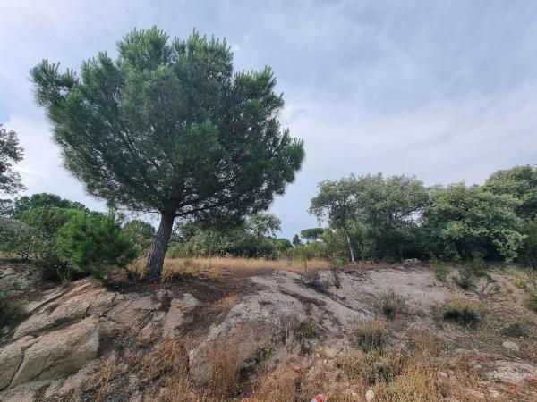 Terreno en calle de Santiáñez, 2 photo 1