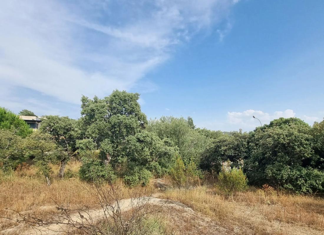 Terreno en venta en Hoyo de Manzanares, Madrid photo 2