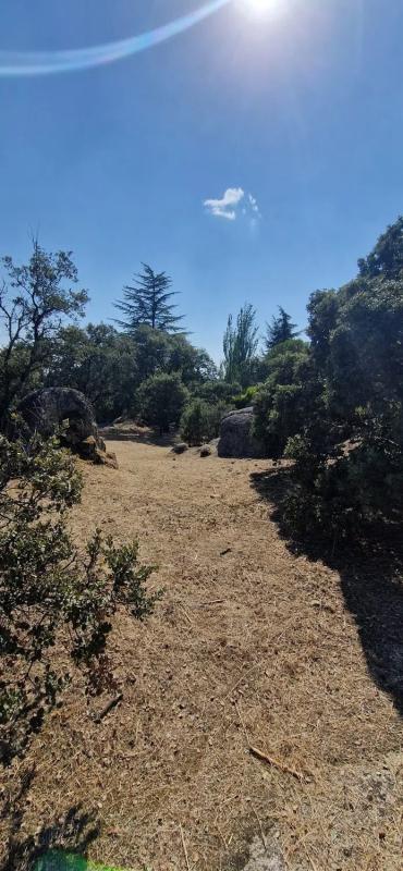 Terreno en venta en Hoyo de Manzanares, Madrid photo 2
