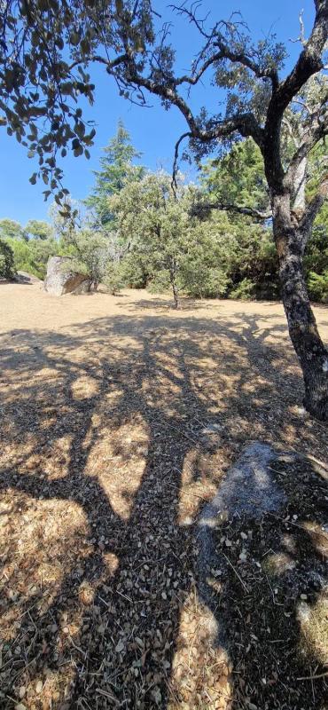 Terreno en venta en Hoyo de Manzanares, Madrid photo 4