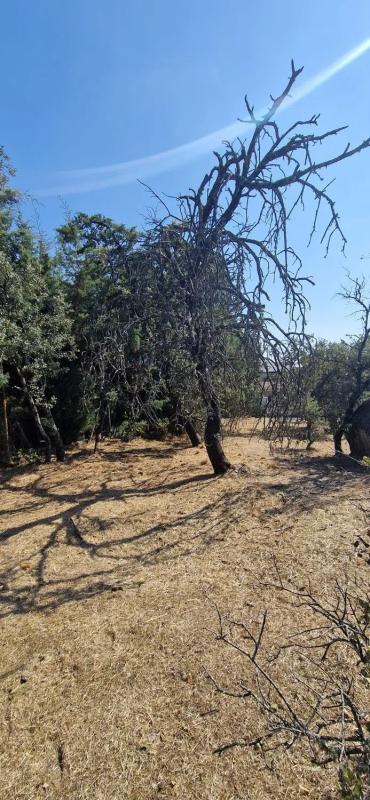 Terreno en venta en Hoyo de Manzanares, Madrid photo 5