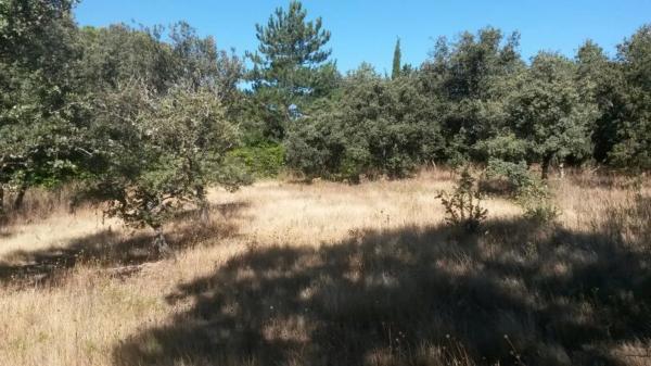 Terreno en avenida Asturias, 49 photo 1