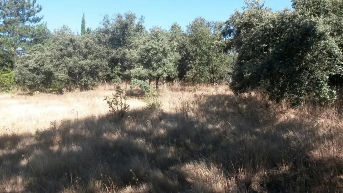 Terreno en venta en Hoyo de Manzanares, Madrid photo 4