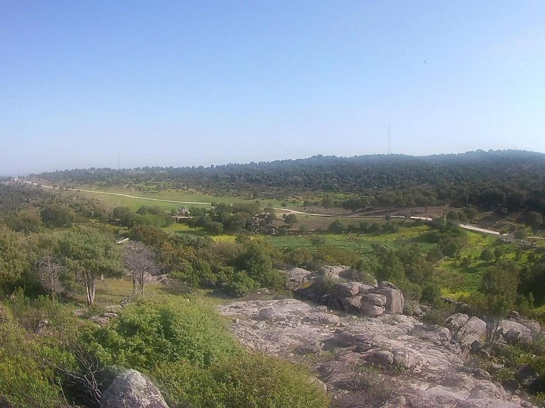 Terreno en venta en Hoyo de Manzanares, Madrid photo 5