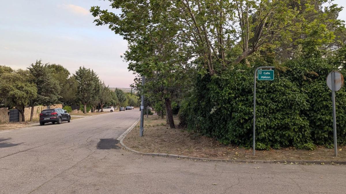 Land for sale in Las Rozas de Madrid, Madrid photo 5
