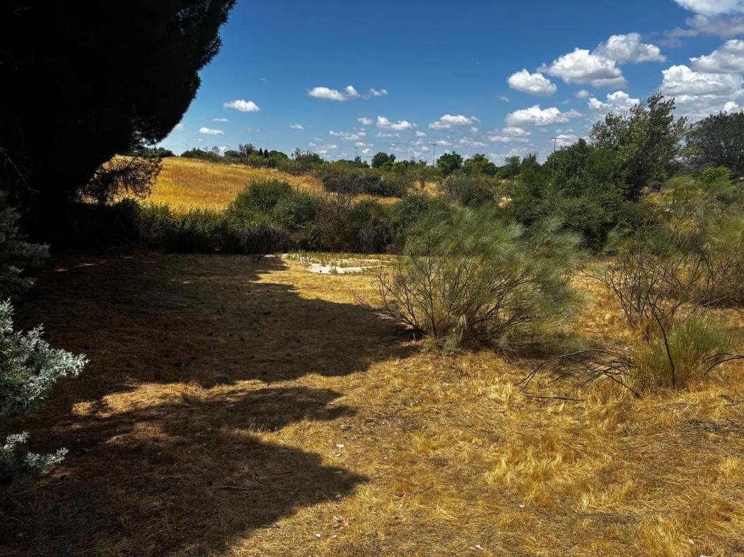 Terreno en venta en Las Rozas de Madrid, Madrid photo 1