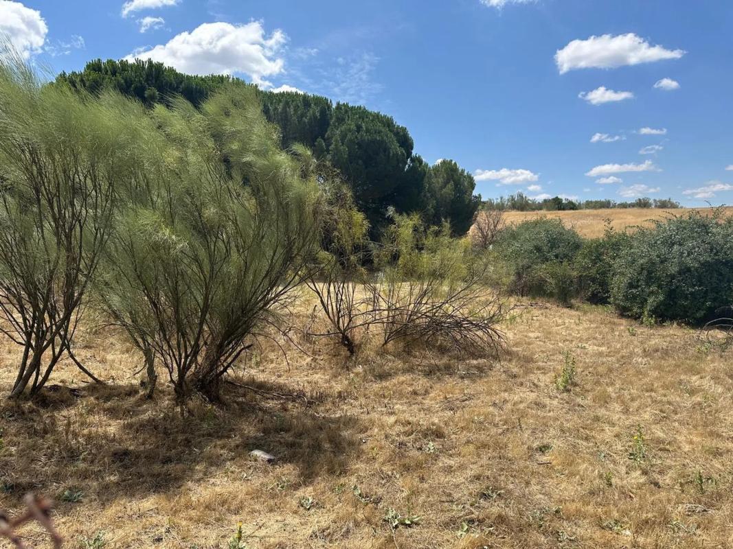 Terreno en venta en Las Rozas de Madrid, Madrid photo 3