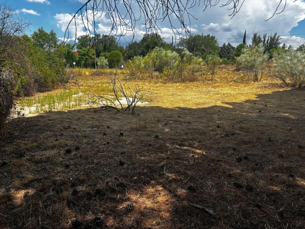 Terreno en venta en Las Rozas de Madrid, Madrid photo 4