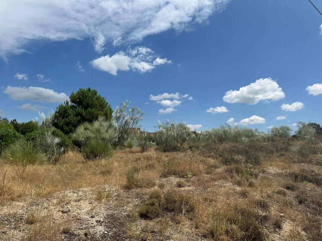 Terreno en venta en Las Rozas de Madrid, Madrid photo 5