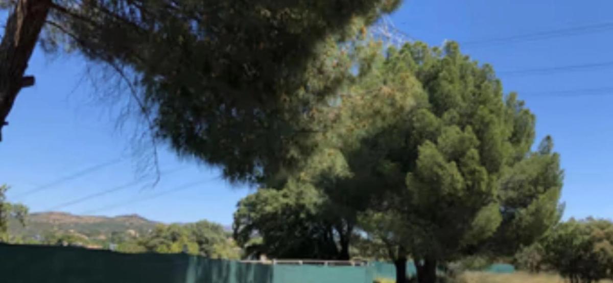 Terreno en venta en Las Rozas de Madrid, Madrid photo 2