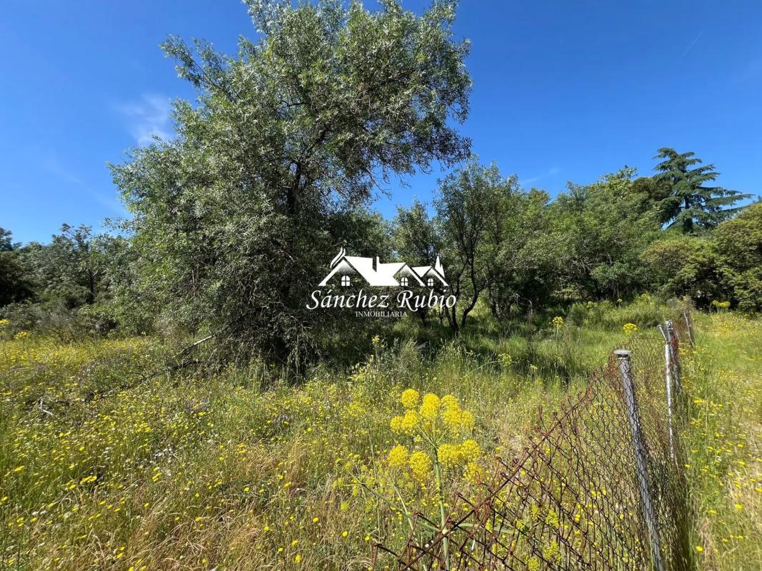 Terreno en venta en Las Rozas de Madrid, Madrid photo 2