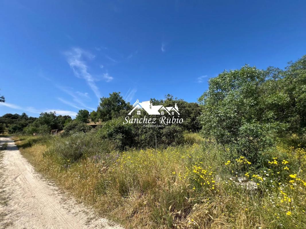 Terreno en venta en Las Rozas de Madrid, Madrid photo 4