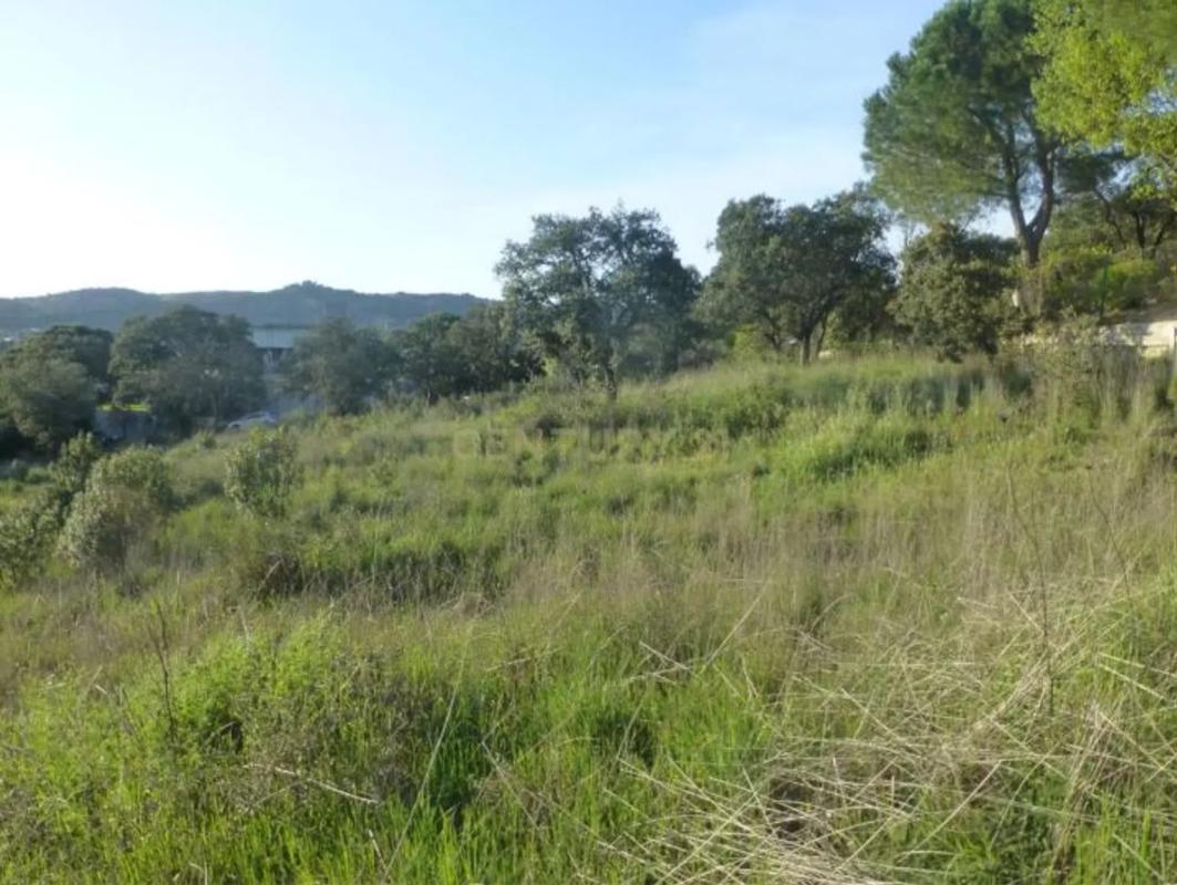 Terreno en venta en Las Rozas de Madrid, Madrid photo 3