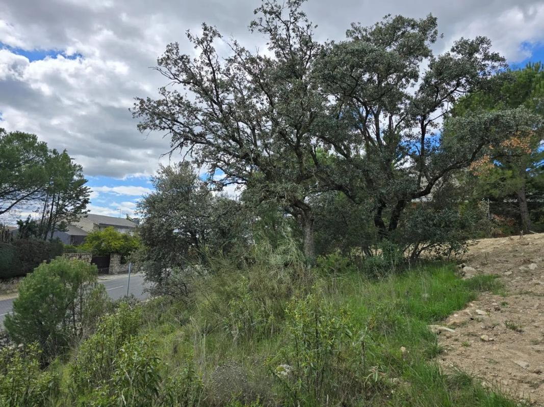 Terreno en venta en Las Rozas de Madrid, Madrid photo 4