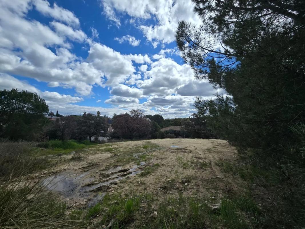 Terreno en venta en Las Rozas de Madrid, Madrid photo 5