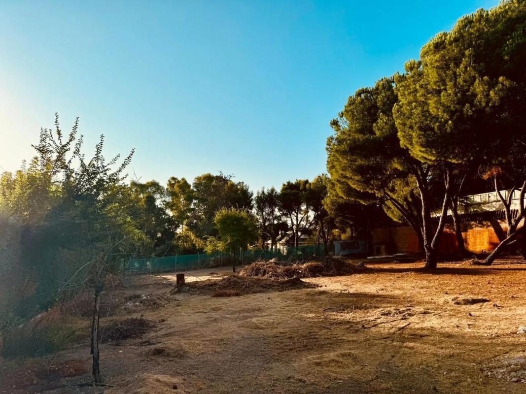 Land for sale in Las Rozas de Madrid, Madrid photo 2