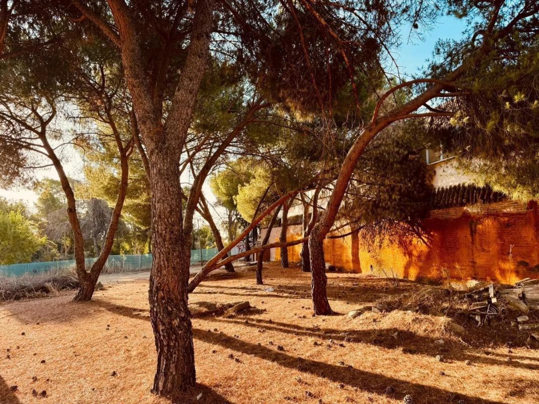 Land for sale in Las Rozas de Madrid, Madrid photo 5