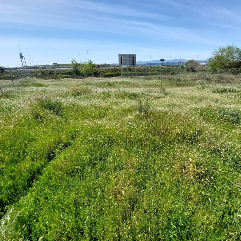 Terreno en venta en Las Rozas de Madrid, Madrid photo 1