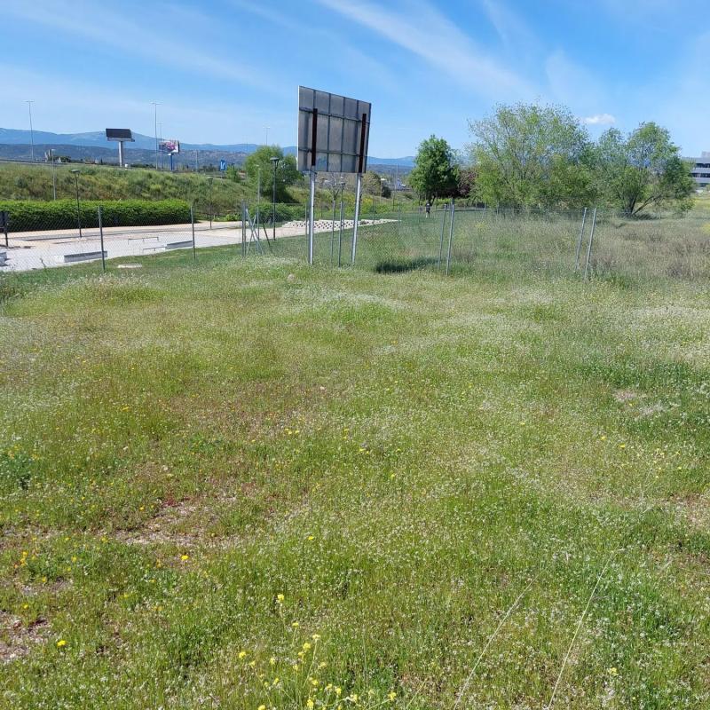 Terreno en venta en Las Rozas de Madrid, Madrid photo 2