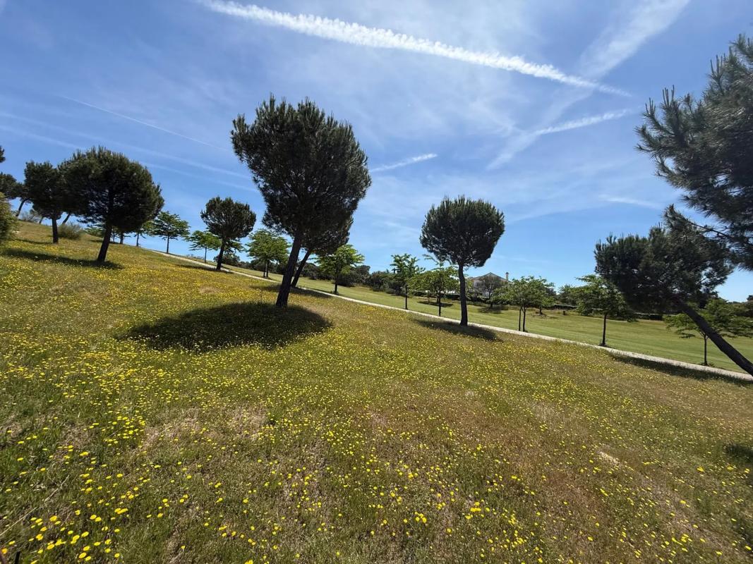 Land for sale in Las Rozas de Madrid, Madrid photo 4
