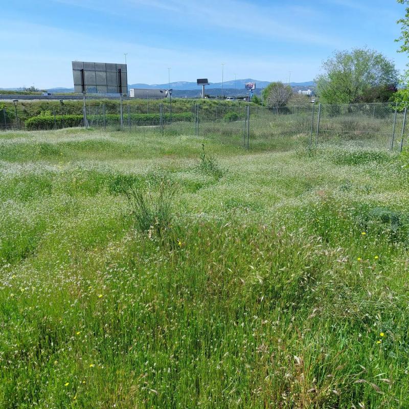 Terreno en venta en Las Rozas de Madrid, Madrid photo 4