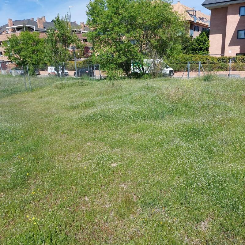 Terreno en venta en Las Rozas de Madrid, Madrid photo 5