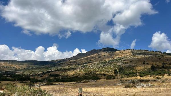Terreno en Los Molinos photo 2