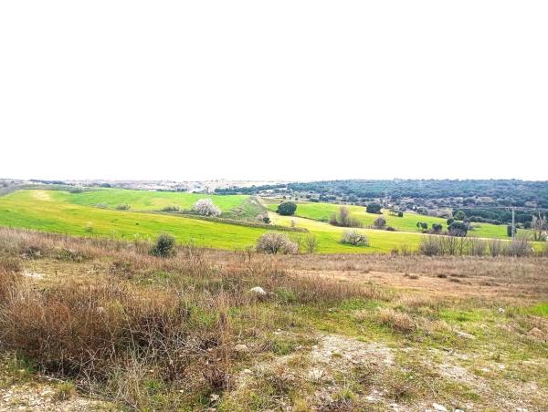 Terreno en Golf - El Carralero photo 2